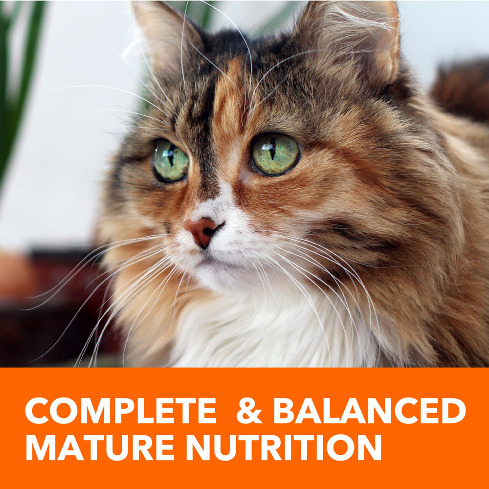 IAMS Proactive Health Senior, dieta para gatos senior con balance nutricional.
