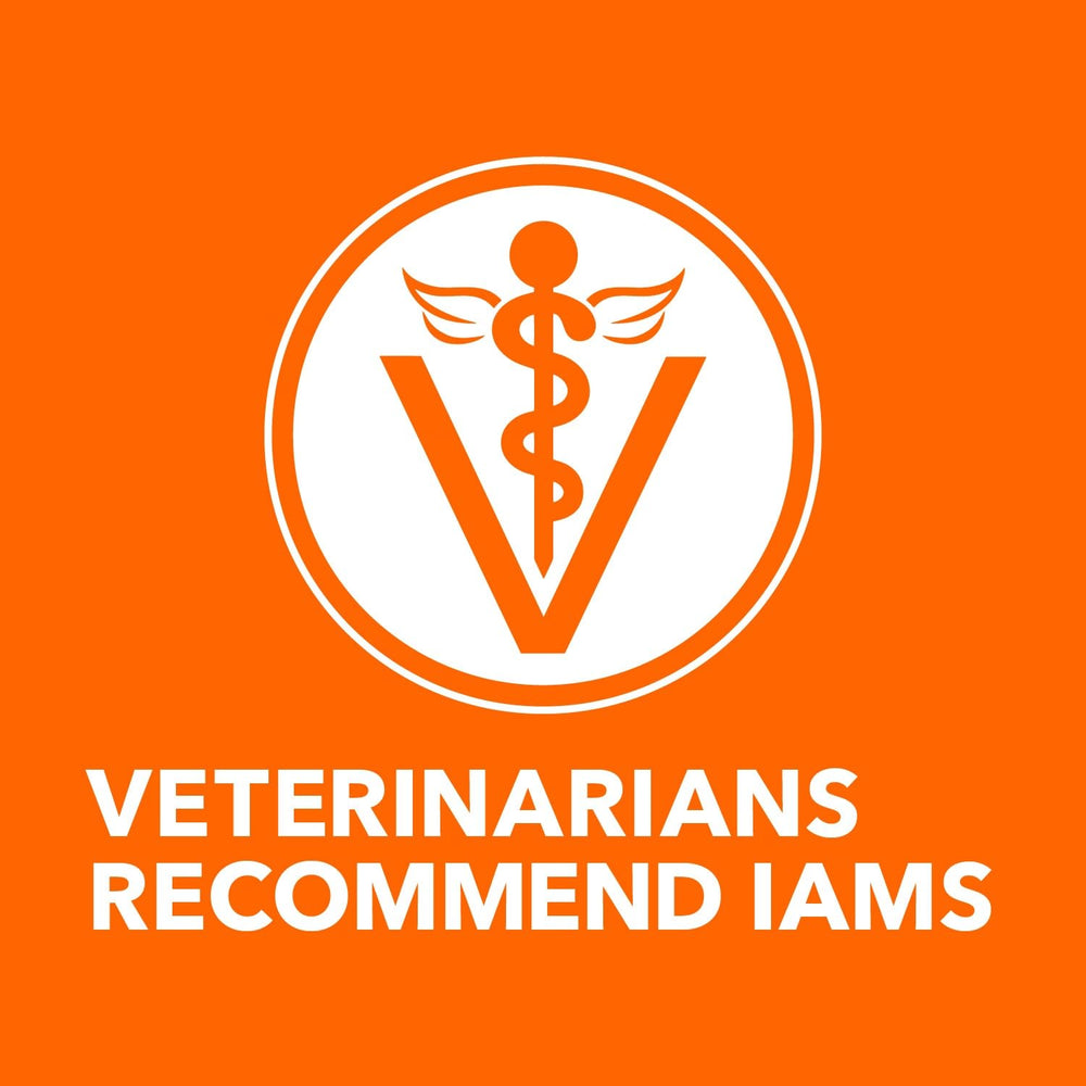 IAMS Proactive Health Senior, ingredientes clave para una nutrición equilibrada.