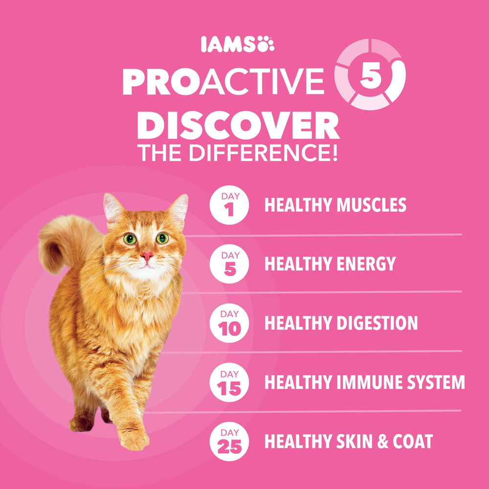 IAMS Proactive Health sin rellenos ni sabores artificiales para mayor pureza.