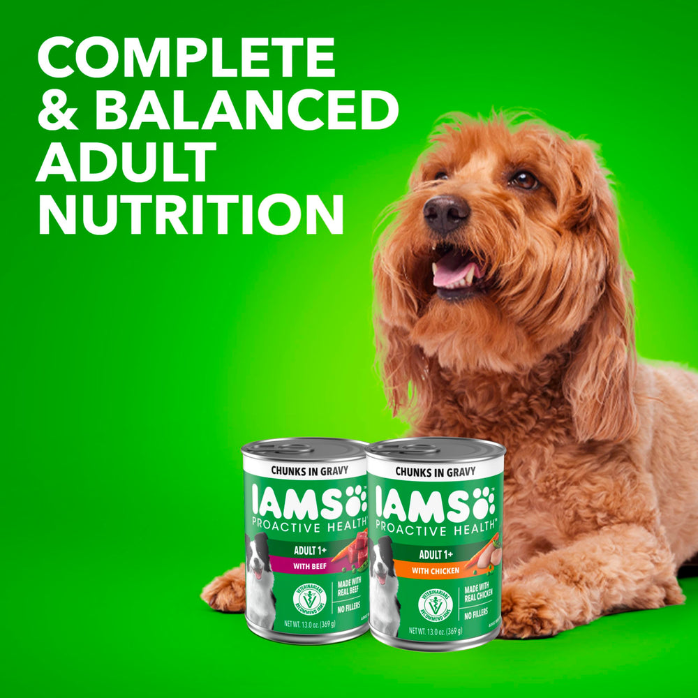 IAMS Proactive Health: textura en salsa que facilita la ingestión diaria.