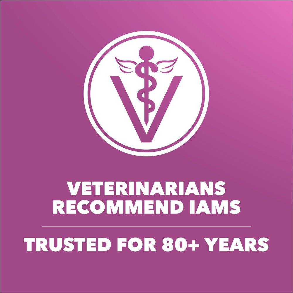 Wholesome grains provide energy for active older dogs.