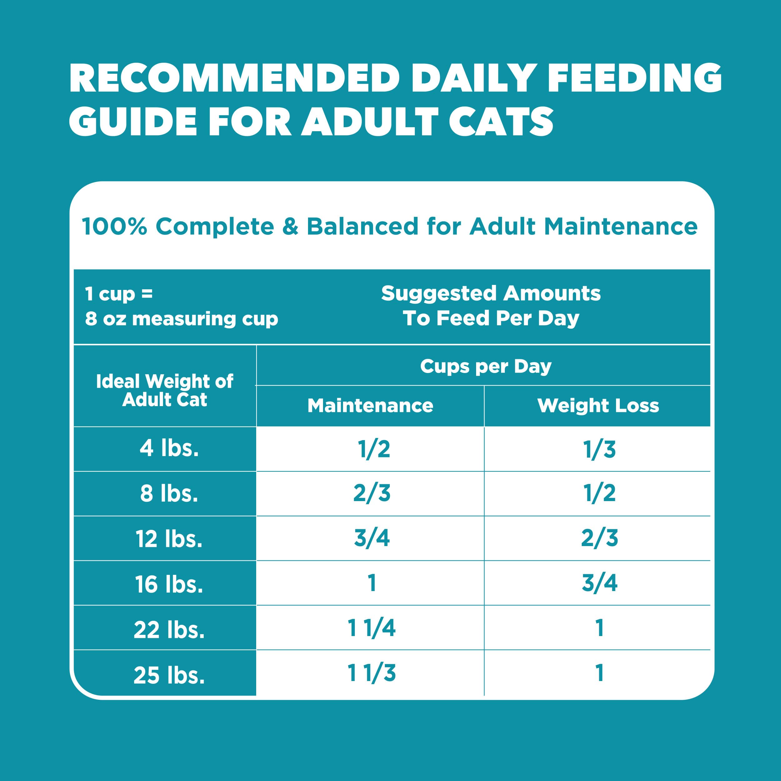 IAMS Proactive Health recomendado por veterinarios para gatos de interior