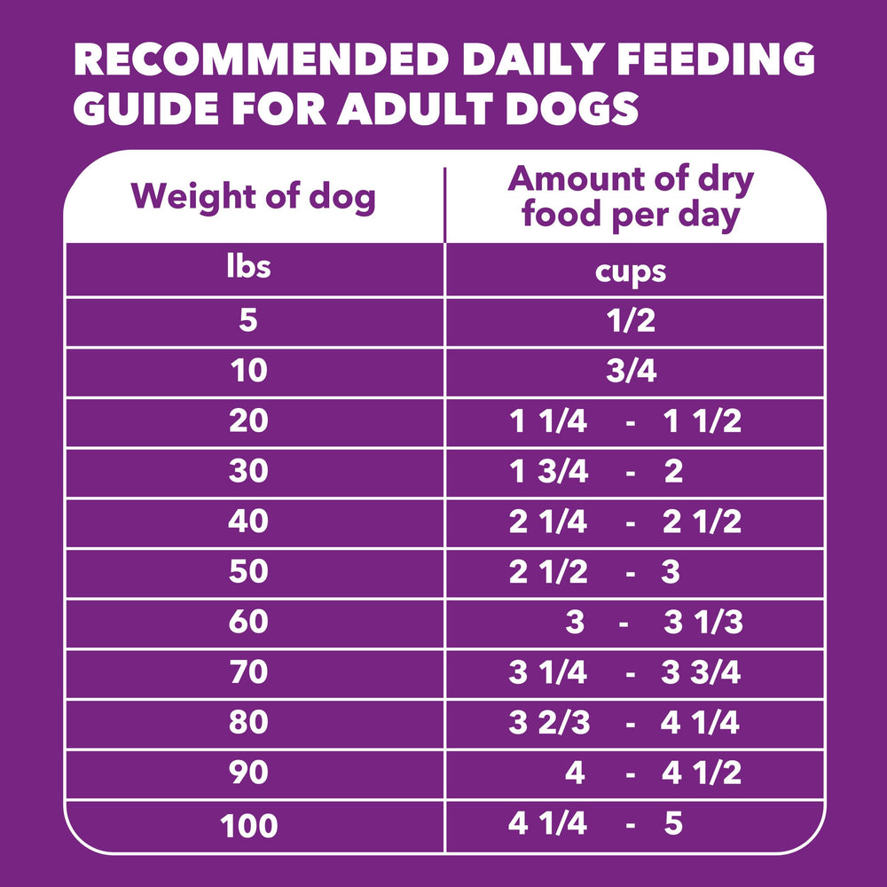 IAMS Receta premium para perros adultos con nutrición equilibrada.