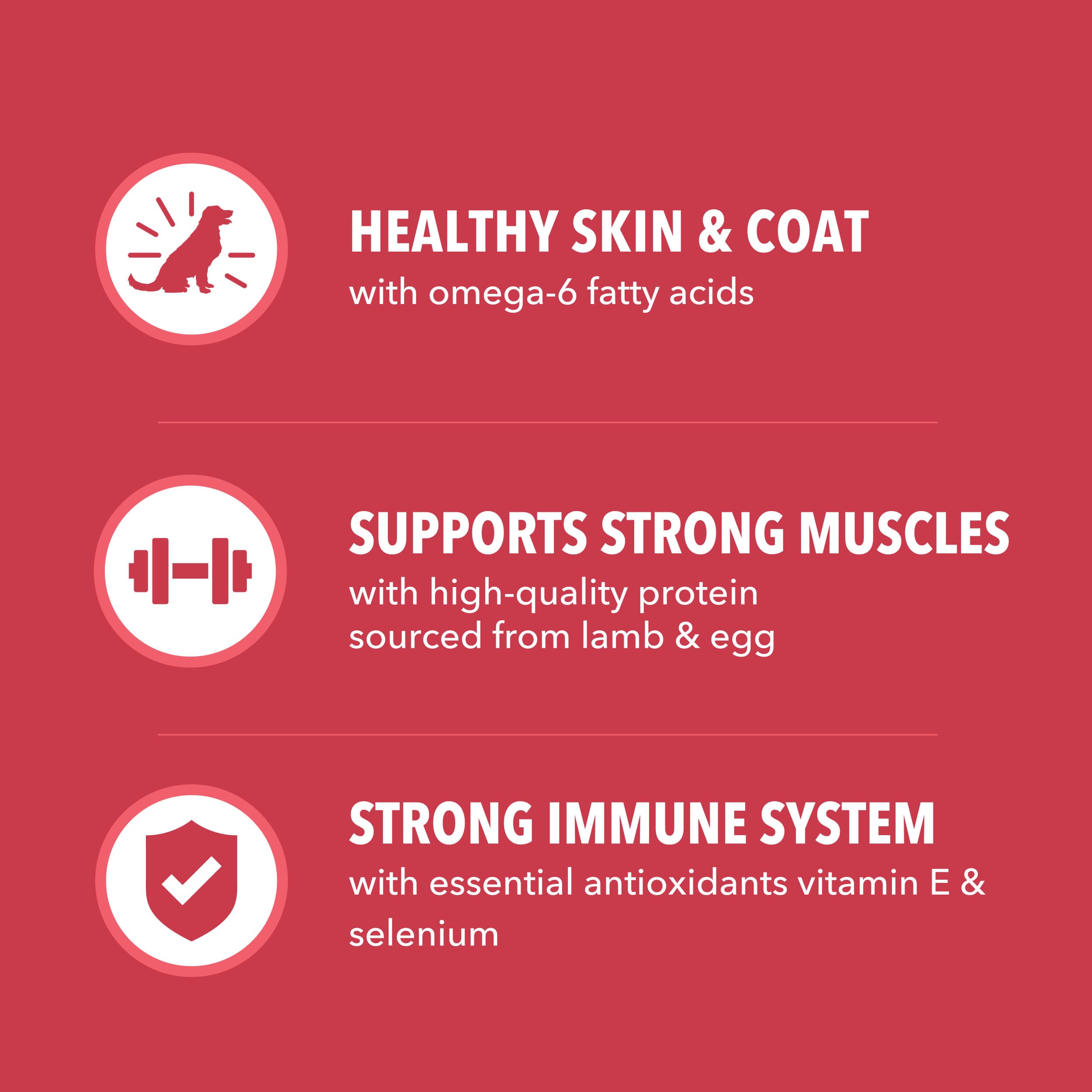 IAMS Salud Proactiva Fibra natural y prebióticos para digestión suave