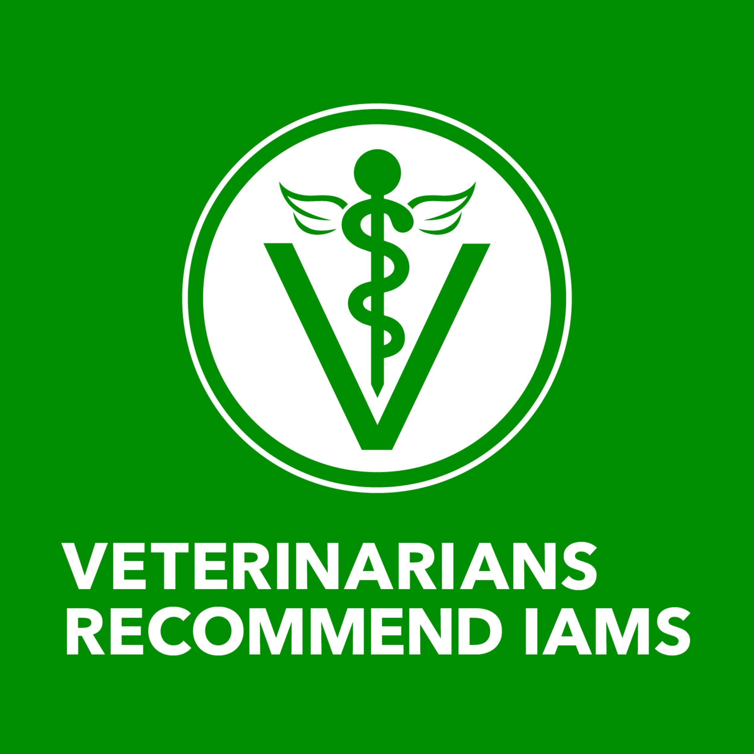 IAMS Salud Proactiva: omega-6 para piel y pelo saludables