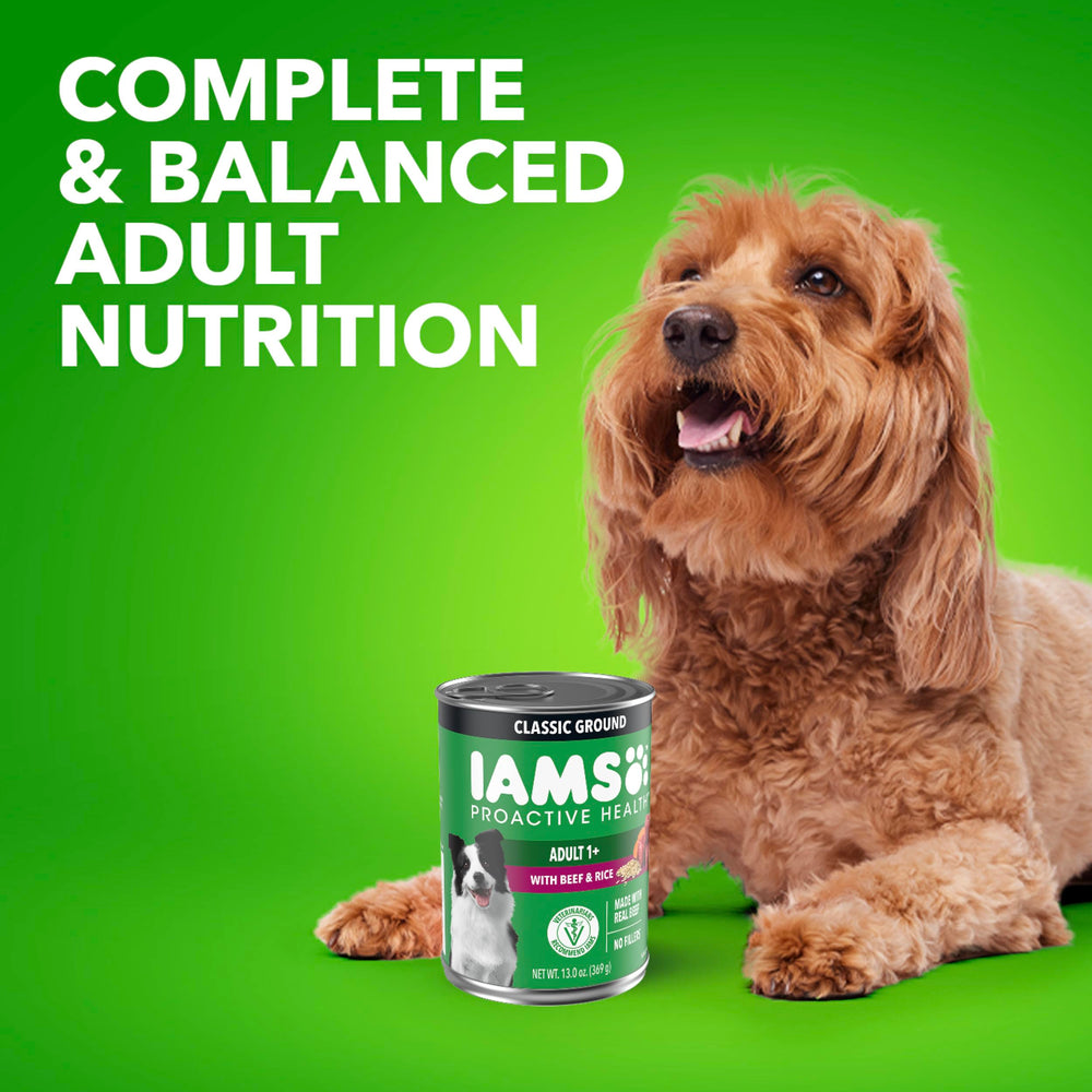 IAMS Salud Proactiva: momento de cena práctico en casa