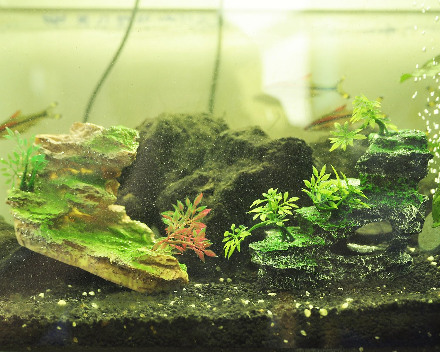 IBWell acuario Medidas 13x7x10 cm, tamaño ideal para tanques pequeños