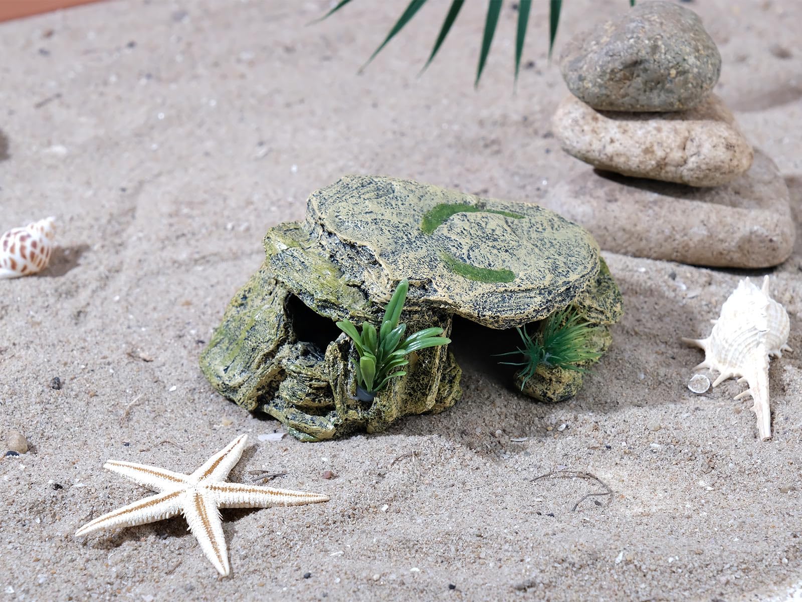 IBWell caverna tortugas, tamaño adecuado para esconderse y descansar.