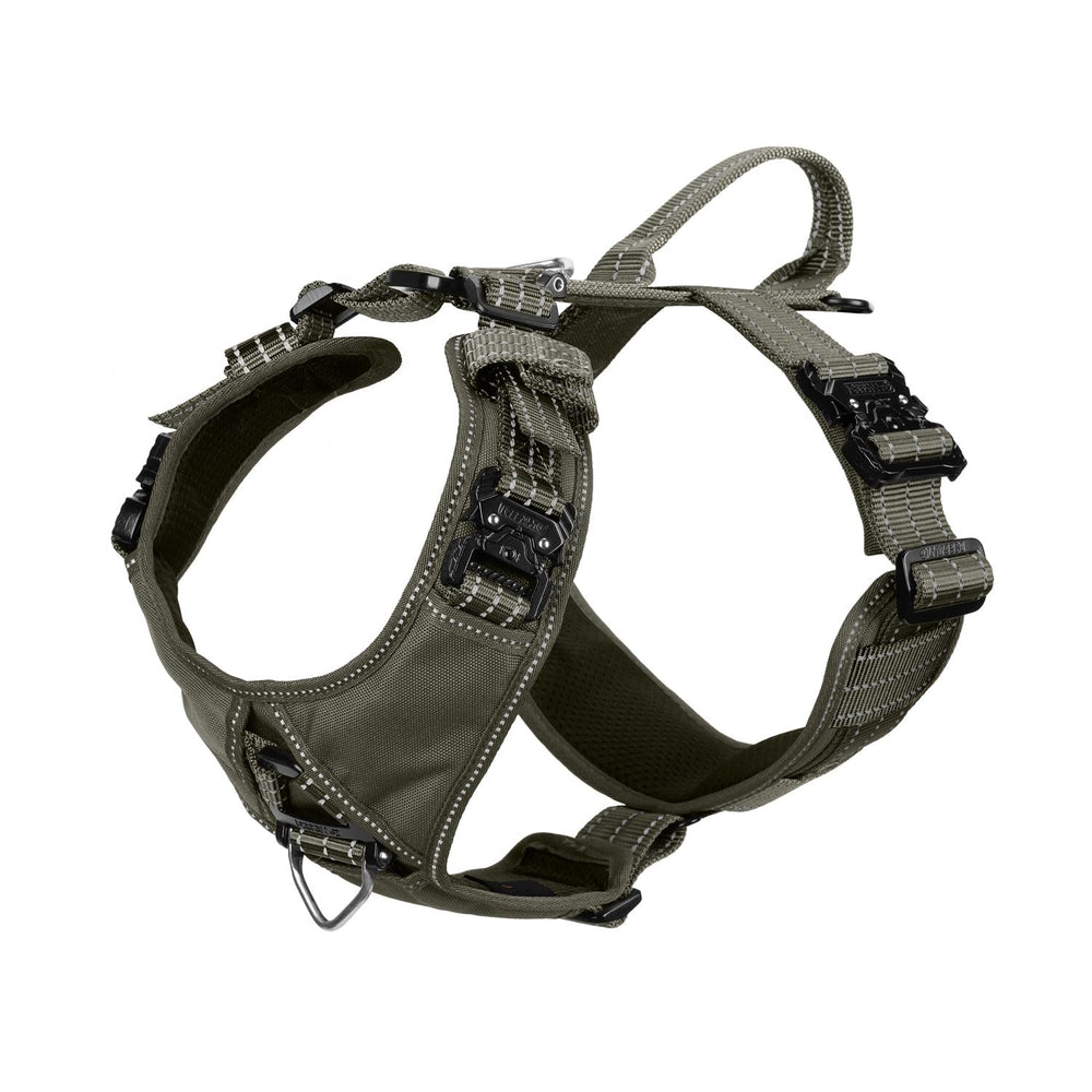 ICEFANG arnés para perro con 4 hebillas metálicas para mayor seguridad en paseos