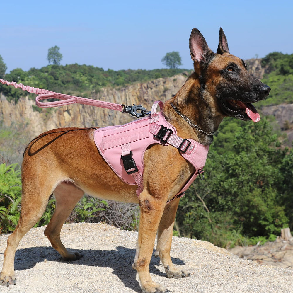ICEFANG arnés táctico para perro grande con paneles MOLLE para accesorios.