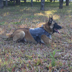 Mango de manejo ICEFANG para control suave durante paseos y observación.