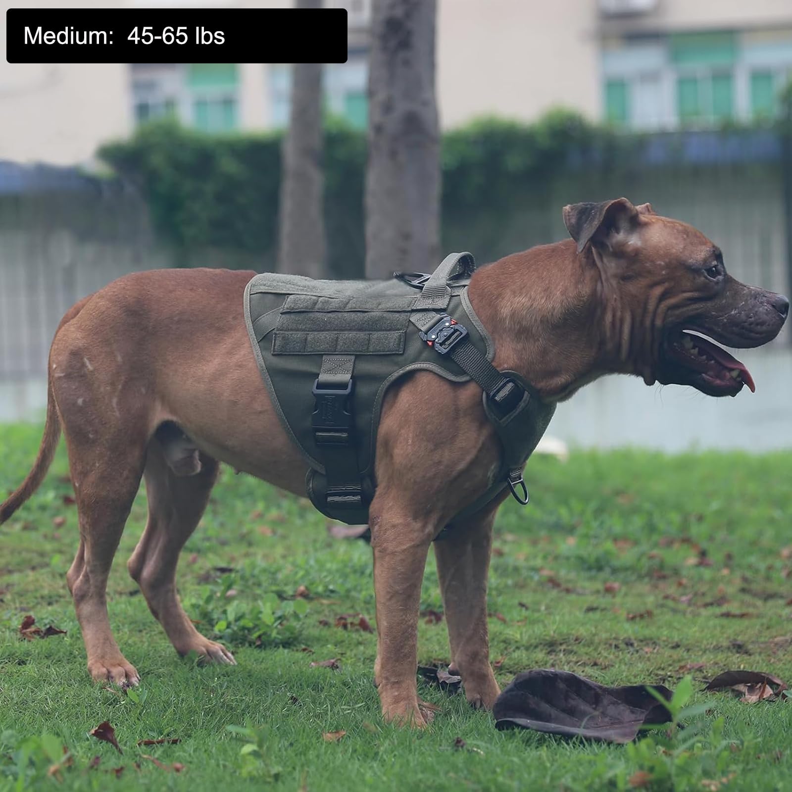 ICEFANG arnés táctico para perro mediano con hebillas frontales de plástico para control sencillo.