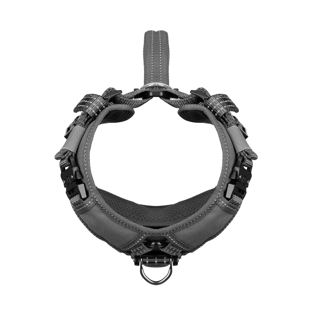 Gancho frontal ICEFANG para controlar tirones en paseos.