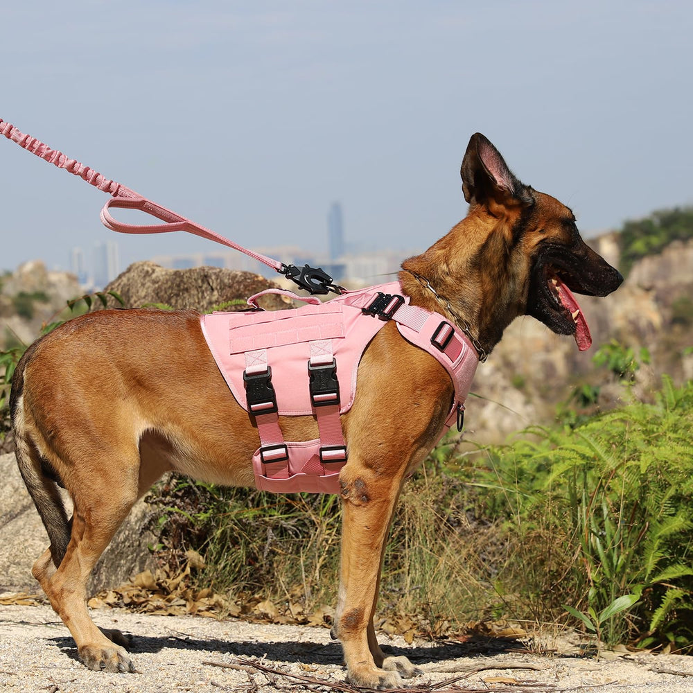 Anilla frontal antipull ICEFANG GN3 para paseos controlados