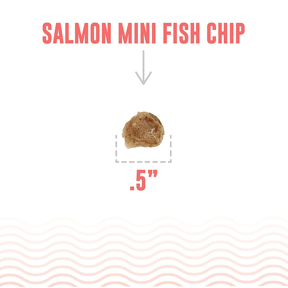 Icelandic+ Mini Fish Chips Salmón, snack de una sola proteína para perros sensibles.