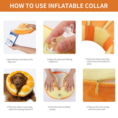 IEUUMLER diseño adorable para gatos y perros.
