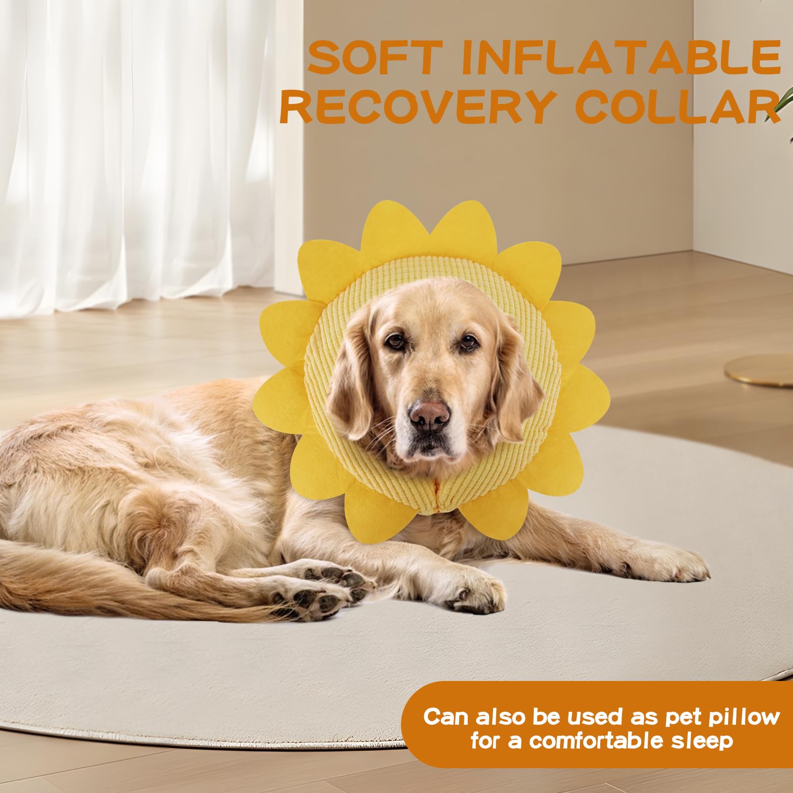 IEUUMLER collar protector para uso diario, ayuda a prevenir mordidas y arañazos en casa.