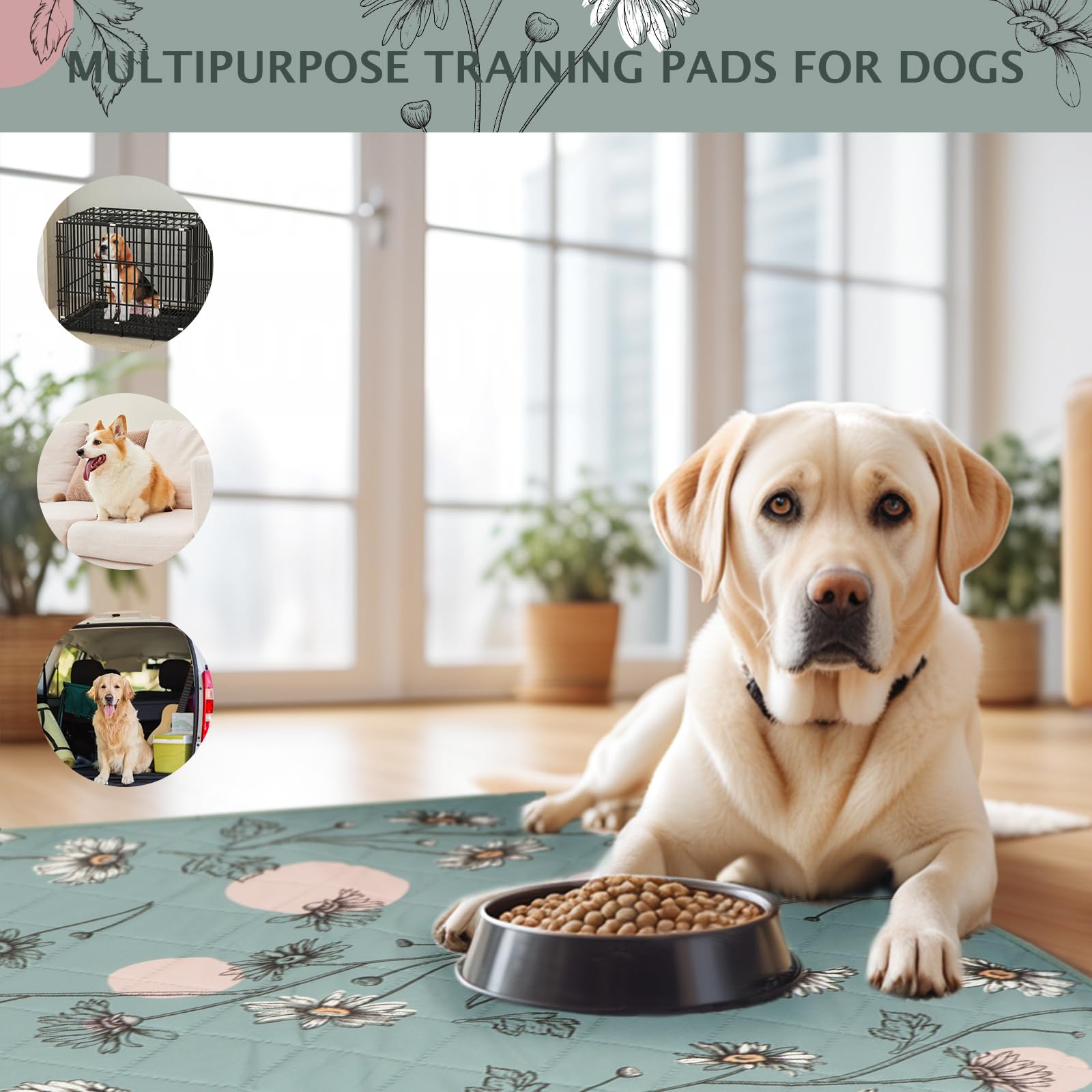 IEUUMLER tapete reutilizable para entrenamiento de higiene de perros