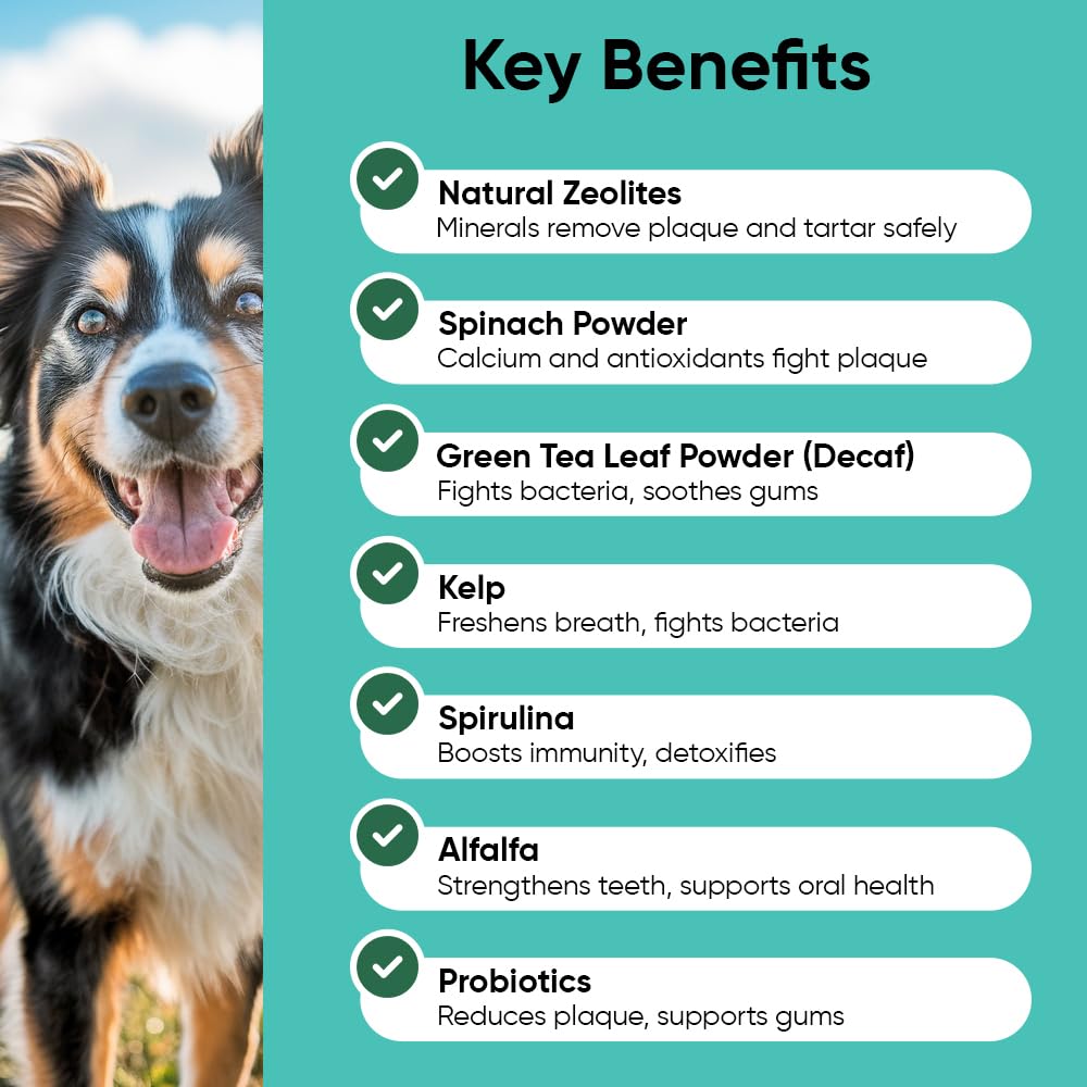 iHeartDogs Aliento fresco con menta, sabor agradable para sesiones de cuidado dental.