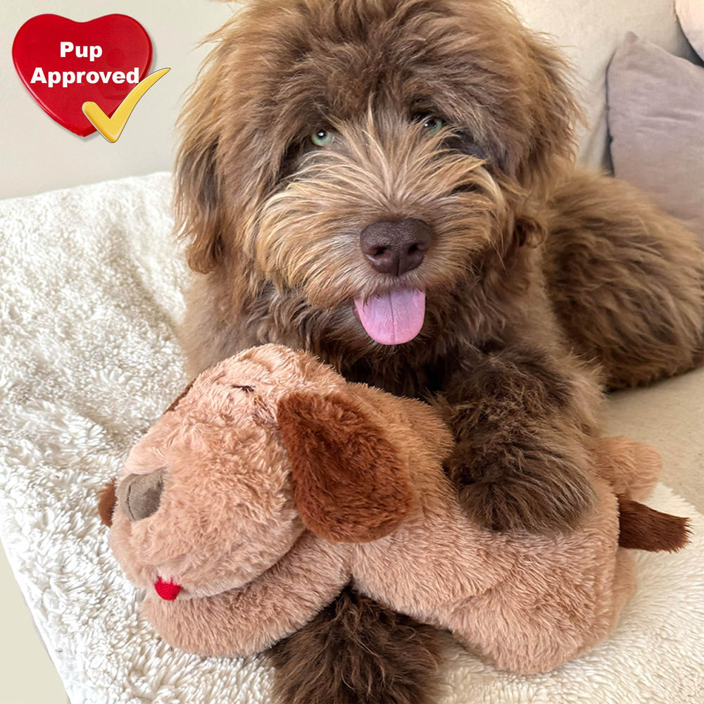 iHeartDogs Bolsa termica desechable de 24h para calor adicional.