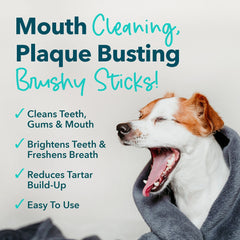 iHeartDogs Brushy Sticks ayuda a limpieza dental diaria.