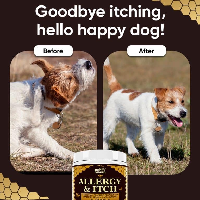 iHeartDogs Honey Guard aceites omega-3-6-9 para piel y pelaje