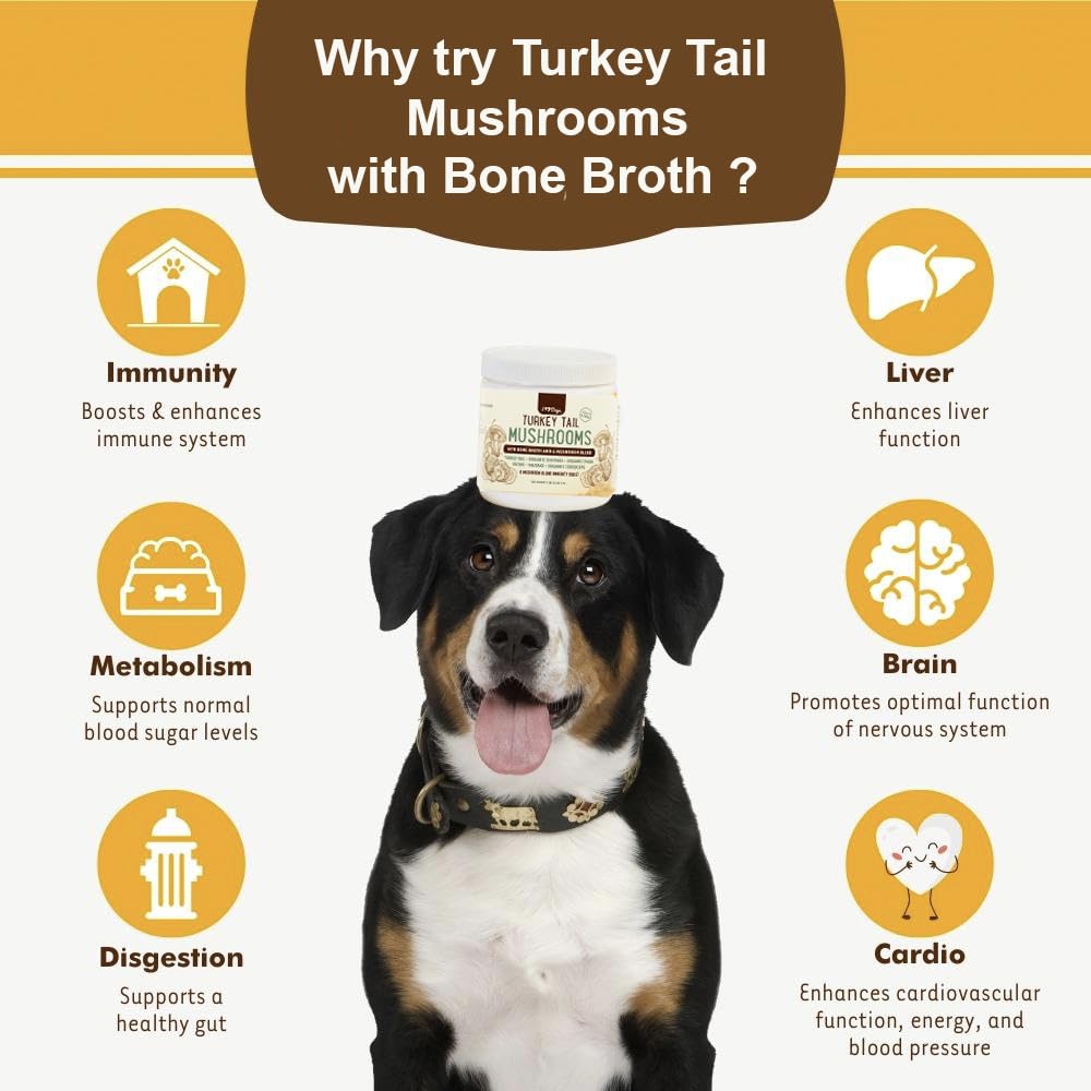iHeartDogs hongos chaga para perros en polvo, fuente natural de energía y bienestar