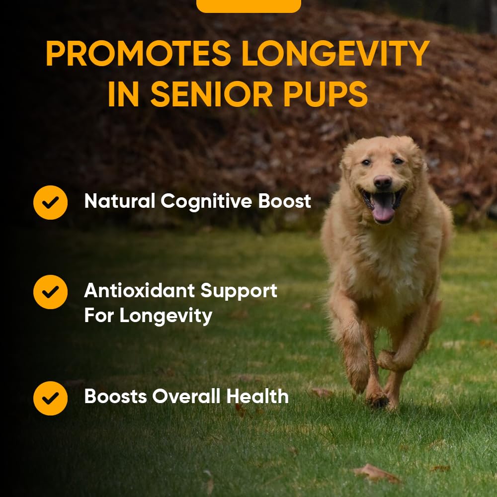 iHeartDogs Senior Super 7: cúrcuma y luteína para apoyo antioxidante y visión.