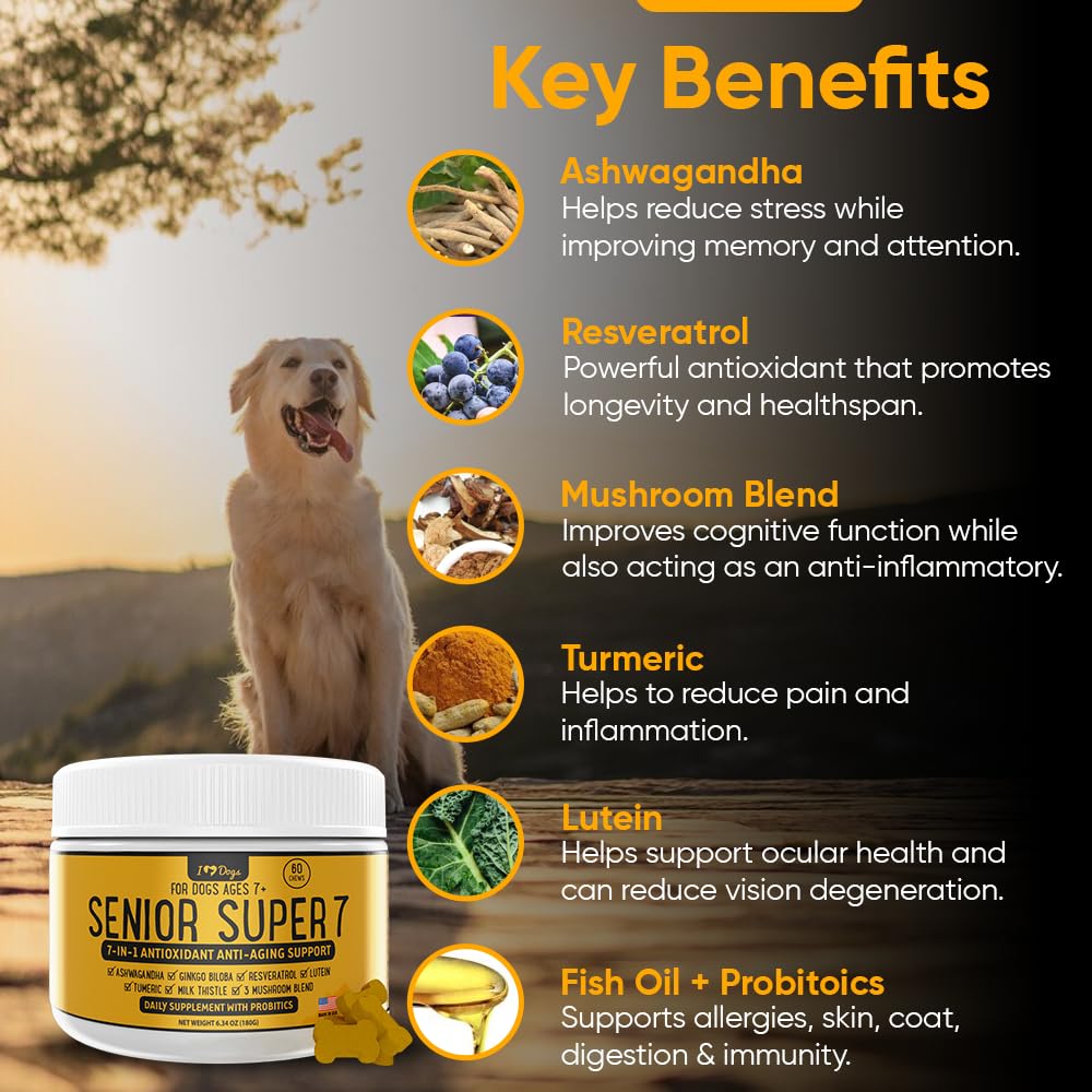 iHeartDogs Senior Super 7: mezcla de hongos medicinales para la claridad mental y bienestar.