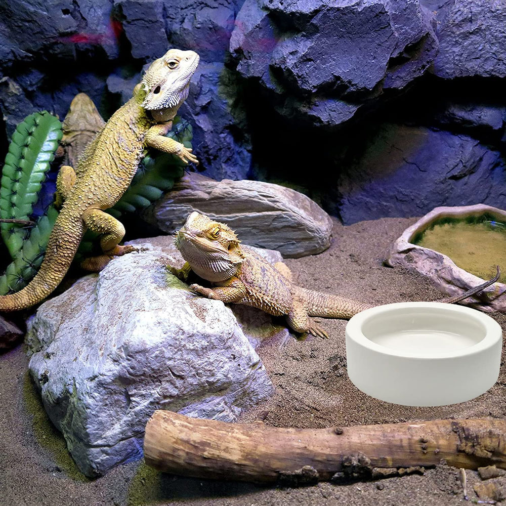 Uso doble: uno para comida y otro para agua.