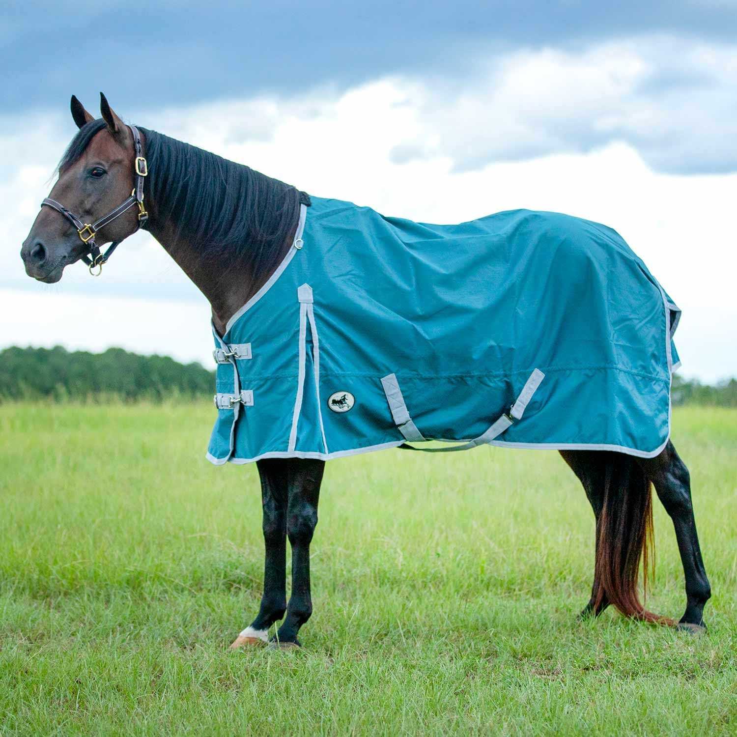 Manta Jeffers Economy 600D con cuello estándar para caballos – Impermeable y ligera, 81 pulgadas, Teal Gris
