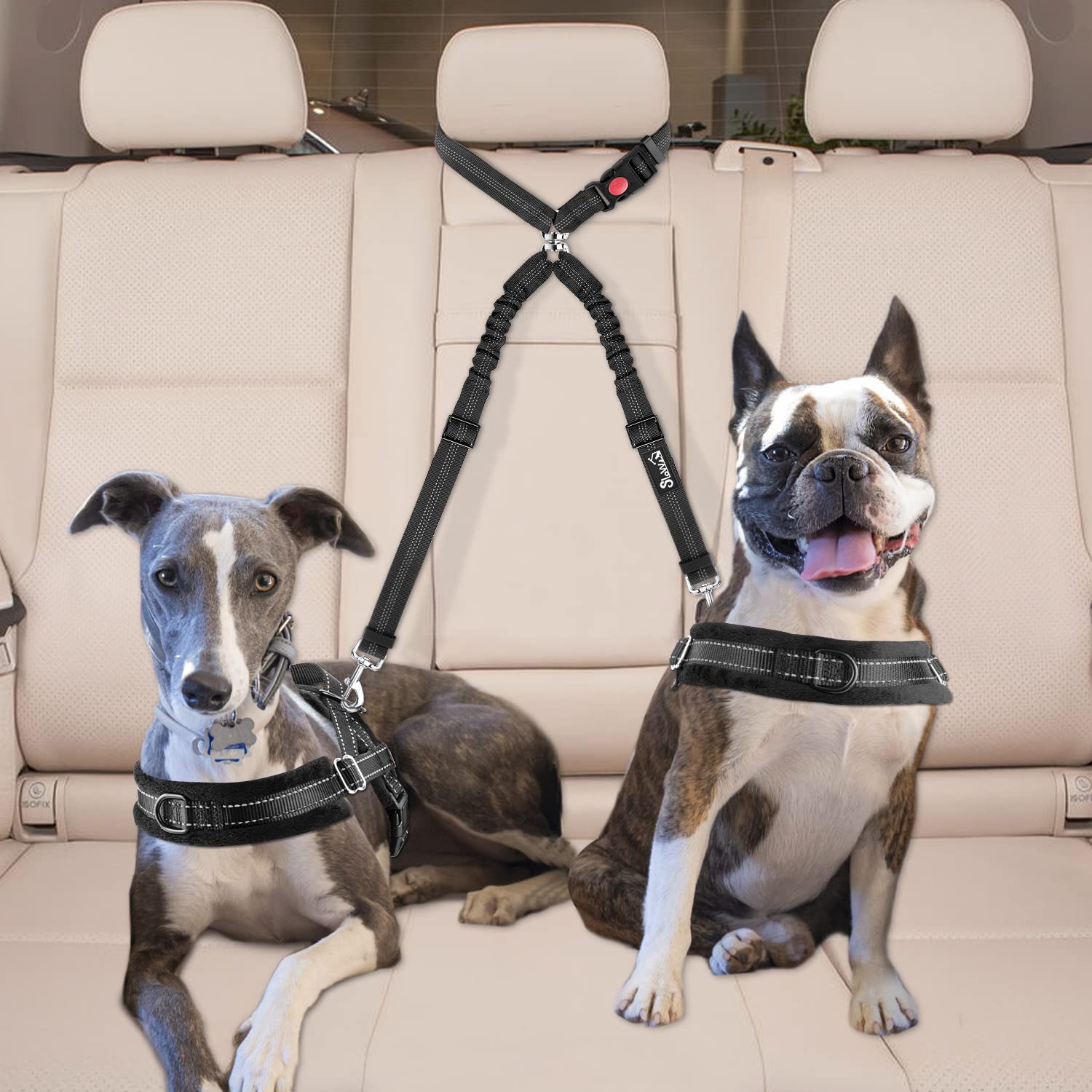 Lukovee Doble Cinturón para Perros en Coche – Seguridad para 2 Mascotas, 360° sin Enredos, Alto Ajuste