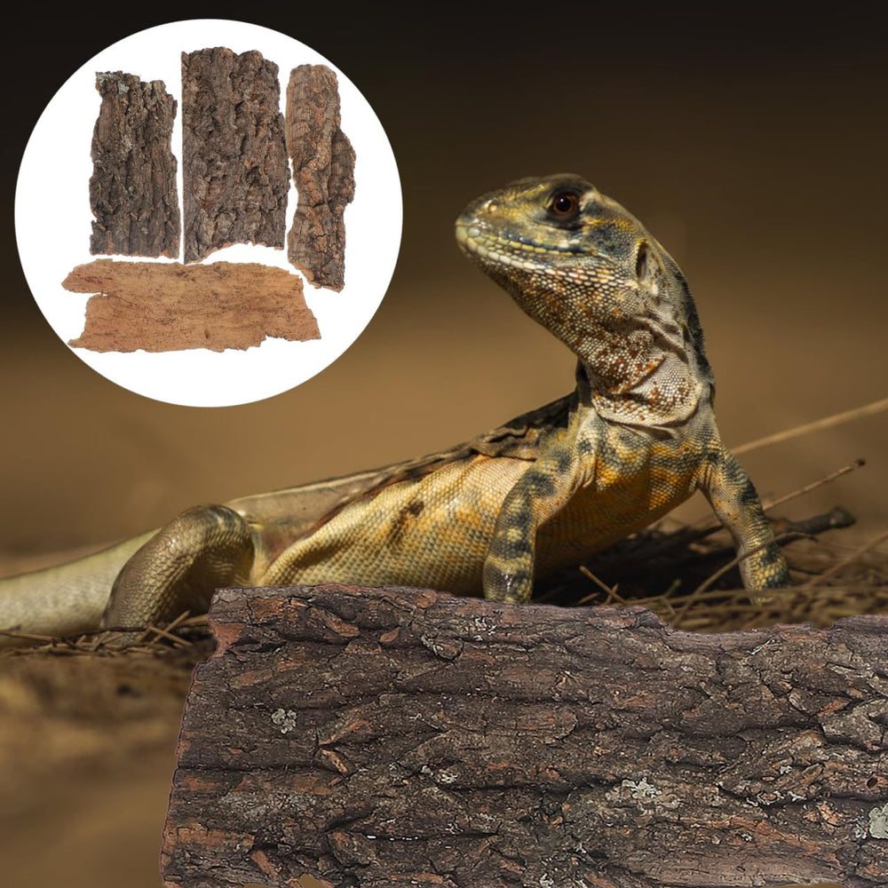 IMIKEYA plataforma de trepar, terrario para descanso