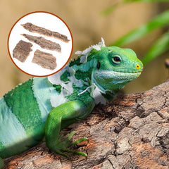 IMIKEYA refugio de corte de árbol, diseño rústico para reptiles