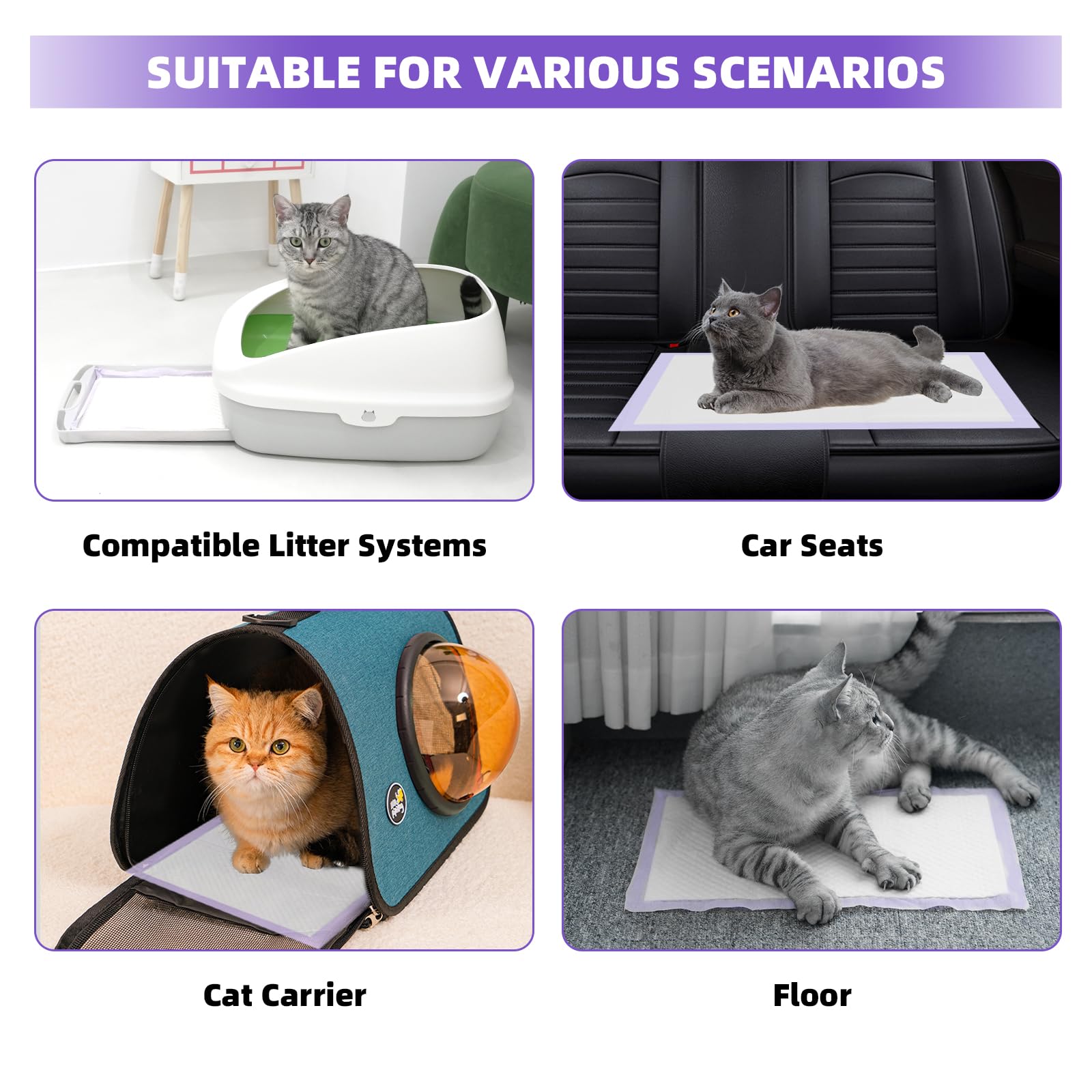Producto desechable e económico de IMMCUTE para mantenimiento sencillo.