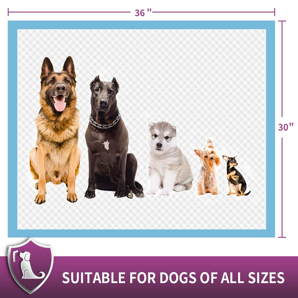 IMMCUTE diseño de 6 capas para protección reforzada.