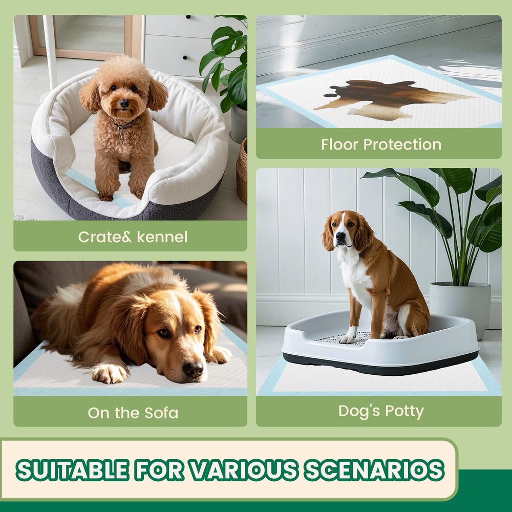 IMMCUTE pads, ideal para perros mayores.