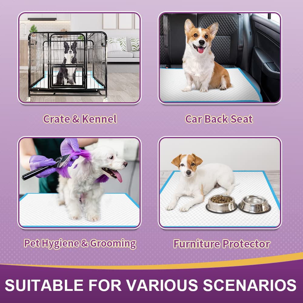 IMMCUTE para mascotas múltiples, útiles en hogares activos.