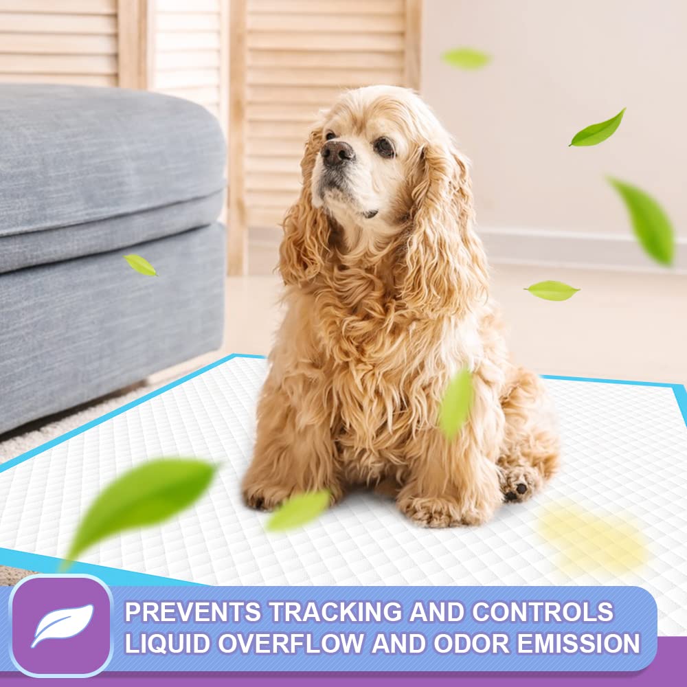 IMMCUTE protección todo el día, adecuada para hogares con varias mascotas.