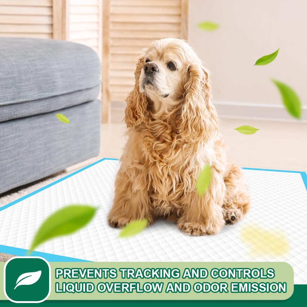 IMMCUTE protección 24h para hogares con varias mascotas.