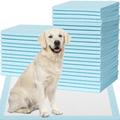 IMMCUTE tapete entreno perros grande para entrenamiento y proteccion de suelos