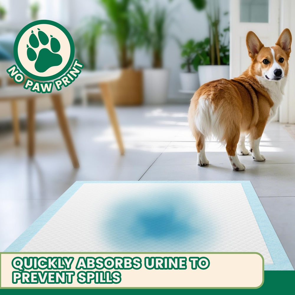 IMMCUTE, uso interior y exterior del pad para mascotas en viaje.