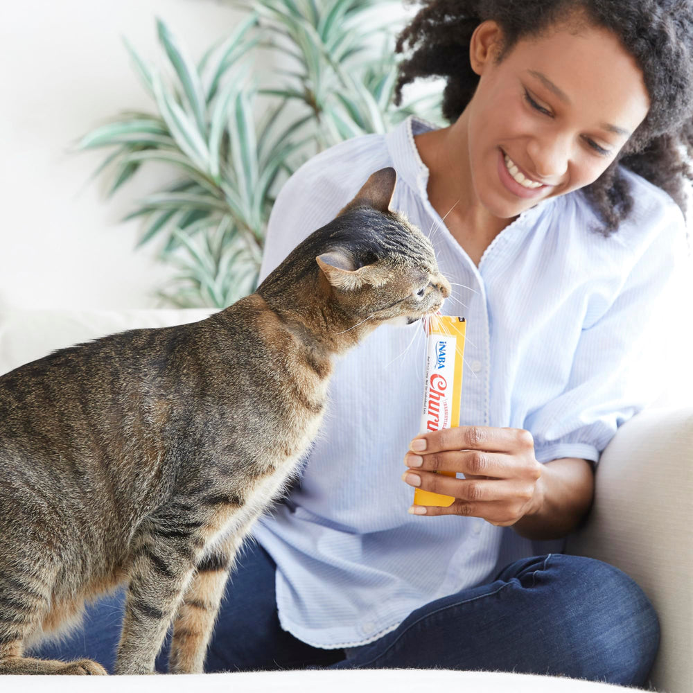 INABA Churu: boîte poulet variété pour chats gourmands.