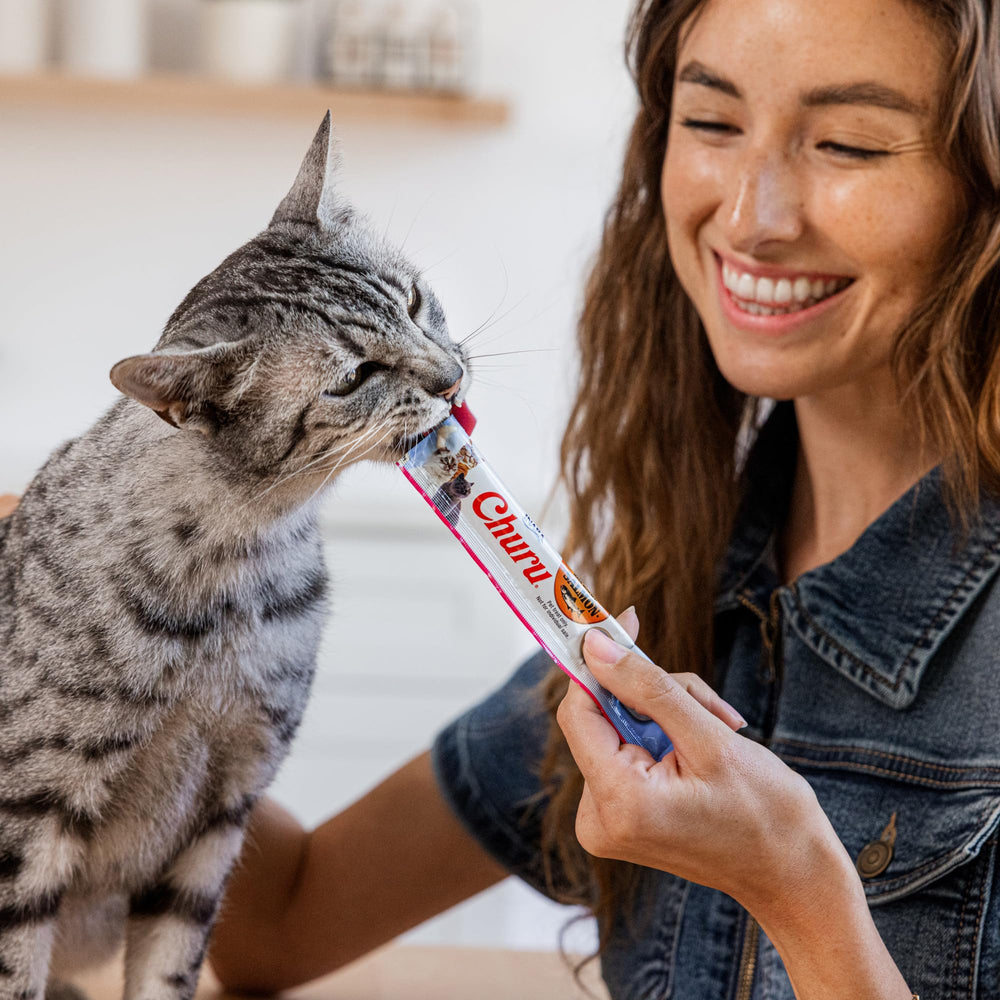INABA Churu salmón, tubo alto en hidratación para gatos sin calorías