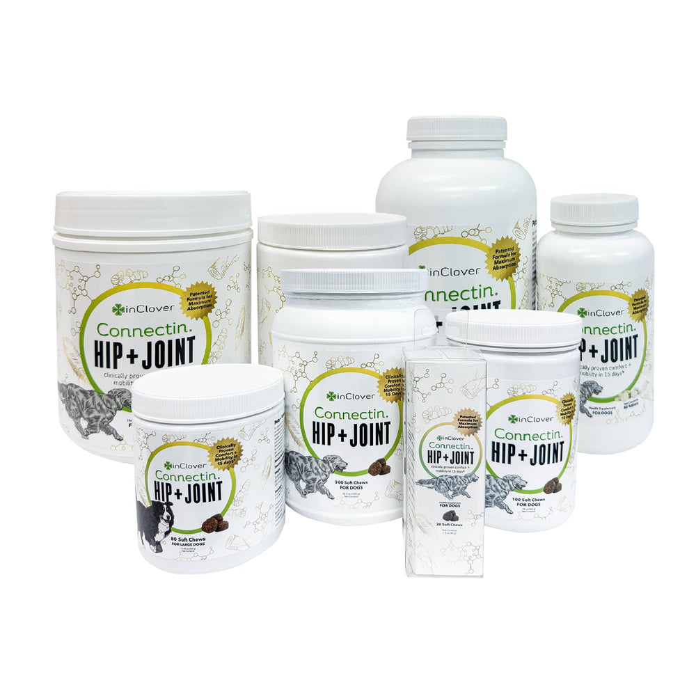 In Clover Connectin usos diarios para perros activos.