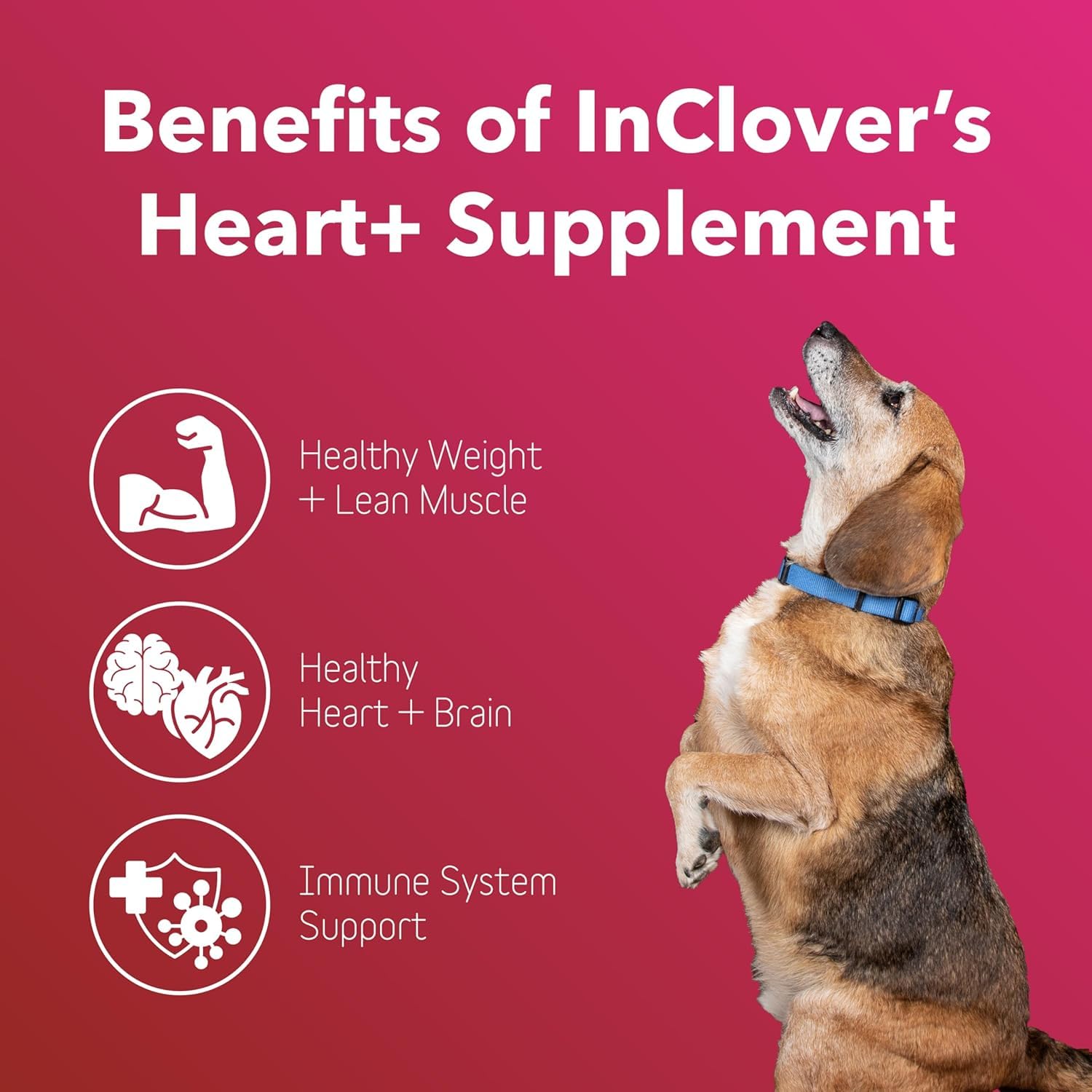 InClover Heart+ etiqueta frontal mostrando taurina y beneficios para el corazón