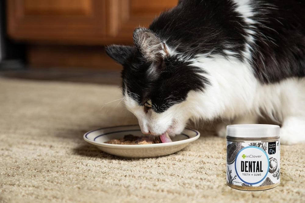 InClover Mascotas felices: aliento fresco gracias al polvo dental.