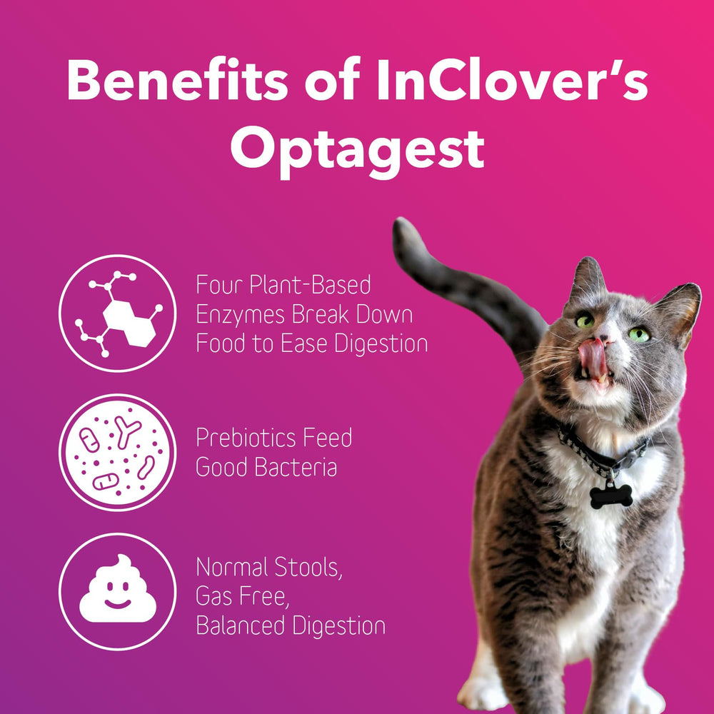 InClover Optagest enzimas digestivas naturales mejoran la descomposición de nutrientes