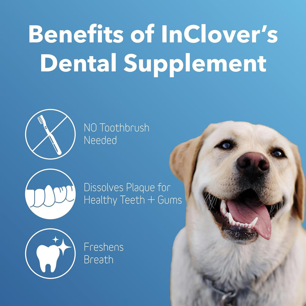 InClover Polvo dental espolvoreado sobre la comida para uso diario.
