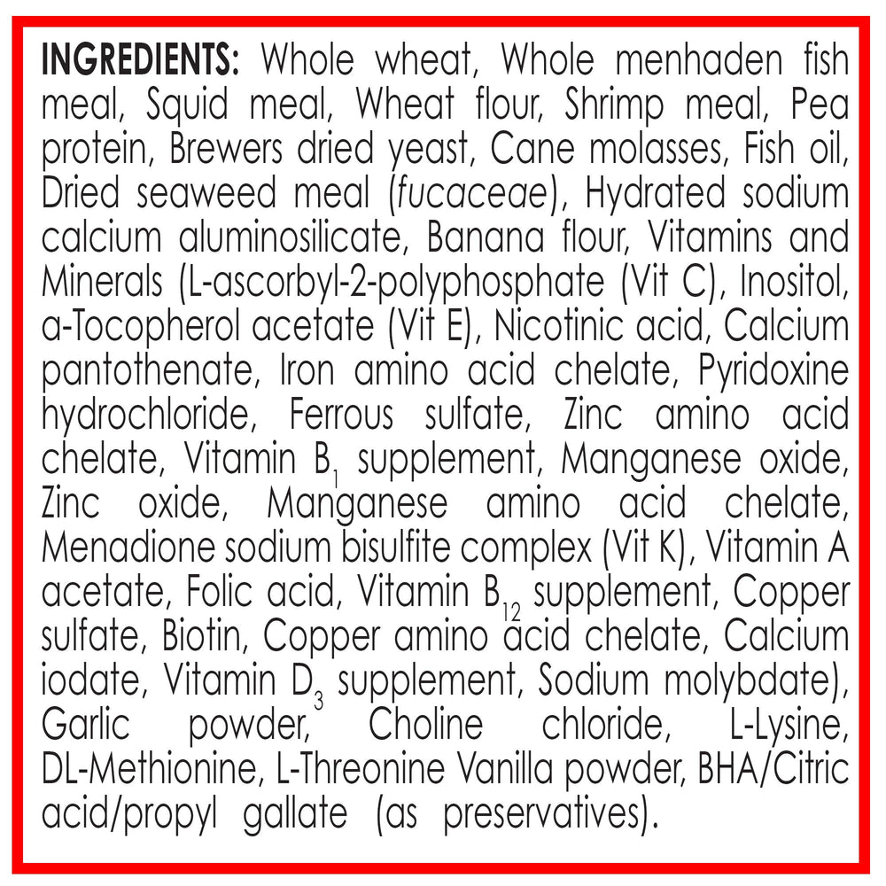 Apariencia de colores intensos de pez tras uso API BETTA FOOD
